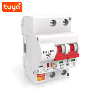 Disjoncteur intelligent Wi-Fi Tuya Smart 2P MCB 16A 25A 32A 40A 63A à commande à distance, prix usine PST-MCB-2P