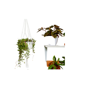 Diseño atractivo Decoración de jardín Macetas colgantes de macramé Artículos de jardín de aspecto perfecto Decoración del hogar Macetas colgantes - Product Image 3