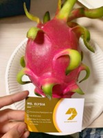 Verse Draak Fruit Rode En Witte Draak Van Boerderij Oorsprong Vietnam Beste Prijs Voor Export Top Leverancier Verse Groenten En Fruit