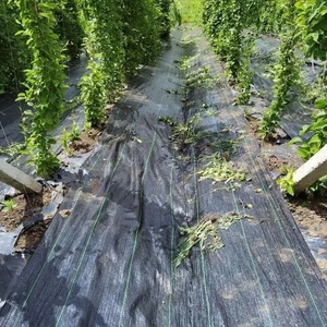 Toile géotextile tissée anti-UV et anti-herbe pour l'agriculture et l'aménagement paysager, en polyester et PP, à prix usine - Product Image 5