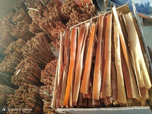 Vente en gros d'épices sèches à la cannelle et au bâton de Cassia de haute qualité Traitement brut à faible quantité minimale de commande du Vietnam - ANNA DO VILACONIC - Product Image 3