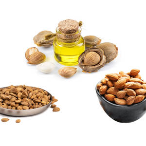 Sweet <b>Apricot</b> <b>Kernels</b> | Great Taste and Texture for Food Processing - Product Image 2