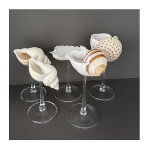 Verre à vin unique en coquillage avec base en coquillage naturel mélangeant l'art et la fonction pour les amoureux de l'océan et les collectionneurs - Product Image 1