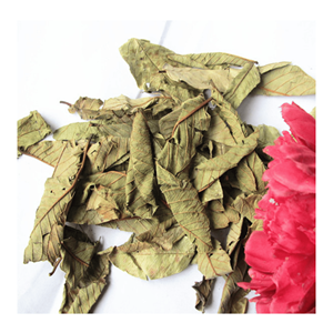Hojas de guayaba secas de calidad, procesadas para la elaboración de té y bebidas, procedentes de Vietnam. - Product Image 4