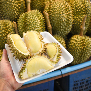 SEGMENTOS DURIAN SIN SEMILLAS PURAS CONGELADAS TEXTURA CREMOSA PARA POSTRES Y Batidos - Product Image 4