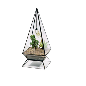 Terrarium en verre d'excellente qualité pour le salon ou la salle à manger Article de décoration Terrarium en verre Accessoires à utiliser Article - Product Image 1