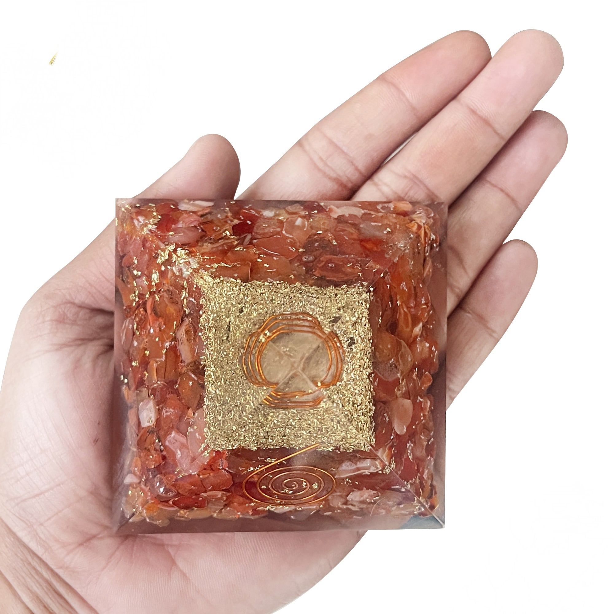 กุหลาบต้นแมดเด