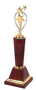Coupe de trophée en métal de qualité supérieure pour le championnat de cricket, cadeau commémoratif pour le gagnant du tournoi sportif, collection d'exposition - Product Image 5