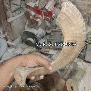 Cuernos de Shofar de Oveja 100% de la Mejor Calidad, Acabado Natural a Precios Económicos por una Empresa de Fabricación India - Product Image 6