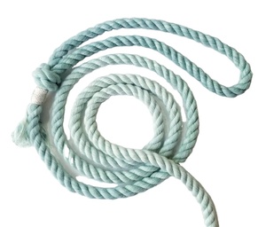 Spearmint Natural Cotton Rope Dog <b>Leash</b> - Product Image 1