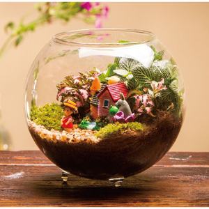 <span class=keywords><strong>Plante</strong></span> <span class=keywords><strong>monde</strong></span> chaud <span class=keywords><strong>maison</strong></span> petite bouteille écologique paysage - Product Image 3