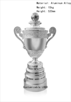 Fabrication de trophées personnalisés en plaqué or véritable, base en métal 20*16cm, trophée de championnat, récompenses en métal