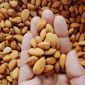 Núcleos de Albaricoque de Primera Calidad, Frutos Secos Económicos, Suministro Directo de Fábrica, En Venta - Product Image 1