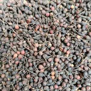 Poivre Sauvage Voatsiperifery de Madagascar Qualité Supérieure en Vrac Naturel Séché Poivre Noir VANILLE HARVEST 24 Herbes Simples Épices - Product Image 1