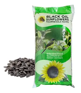 Semente de girassol seca a granel sem OGM, óleo preto de sementes de girassol para óleo preto