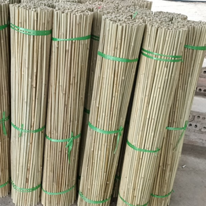 Poteaux de bambou traités de gros pour les projets de plantation agricole - Product Image 5