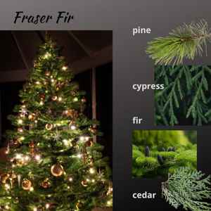 Bâtons d'encens à combustion longue-parfums-Ambre, Rose (Gulab), Jasmin (Mogra/Chameli), Nag Champa, Tubéreuse (Rajnigandha) - Product Image 5