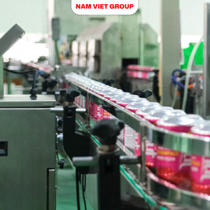 Nata de Coco, jus de fruits et légumes aromatisé à la noix de coco et à la mangue, marque privée OEM/ODM personnalisable, fabriqué au Vietnam - Product Image 5