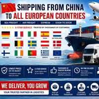 Transport aérien et maritime avec DDP pour l'expédition LCL+Express