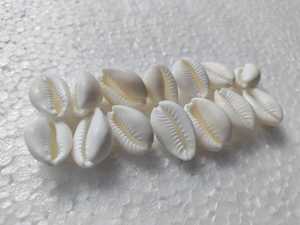 Coquilles de cauri naturelles sur mesure en perles d'os et de corail de coquille blanche pure pour les créateurs de bijoux et les magasins de perles - Product Image 3