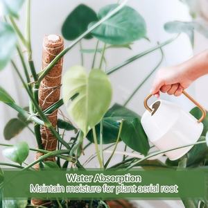 Kit de 4 poteaux en mousse plastifiée avec attaches et étiquettes, en stock aux États-Unis, pour support de plantes d'intérieur (Monstera), prêt à être expédié - Product Image 5