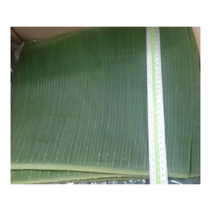 Feuilles de bananier congelées de haute qualité provenant d'un fournisseur fiable du Vietnam, parfaites pour l'emballage alimentaire, la cuisson et la vente en gros en vrac - Product Image 1