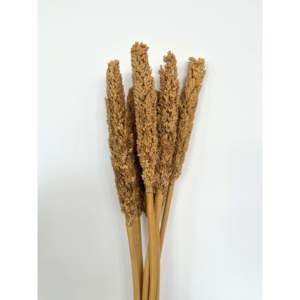 Cantel de Flores Secas - Product Image 1