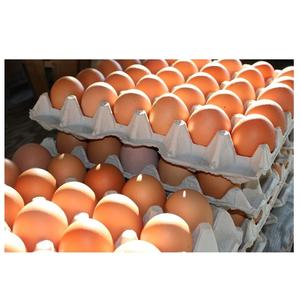 Precio al por mayor Blanco/marrón cáscara fresca Mesa pollo huevos a granel disponible para la venta - Product Image 6
