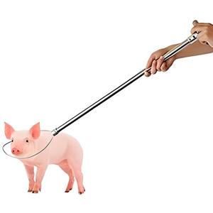 Piège portable écologique en acier inoxydable pour chien et animal solide avec options personnalisables - Product Image 5