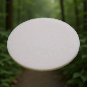 Juego de 10 Discos de Pulido Festool STF Blancos - Product Image 3