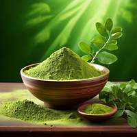 Bubuk Daun Kelor Premium Terlaris Bubuk Daun Kelor Murni Produsen India Grosir Harga Terbaik Ekstrak Tumbuhan
