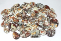 Vente en gros Radha Arts Cabochon d'agate Crazy Lace de haute qualité, pierre gemme naturelle, multicolore, formes et tailles variées, poli