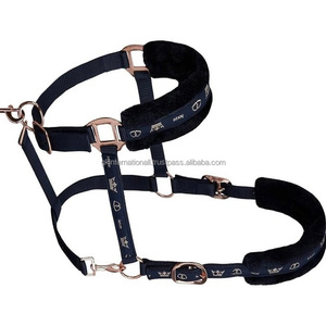 Lightweight Waterproof Double Ply Nylon Horse Halter with Soft Fleece Mink <b>Padding</b> on Nose & Crown Adjustable Rose Gold Fittings - Product Image 3