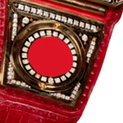 Ceinture de boxe de lutte Nouveau design Art martial Ceintures de haute qualité Art martial Design supérieur Ceintures de championnat de haute qualité OEM - Product Image 6