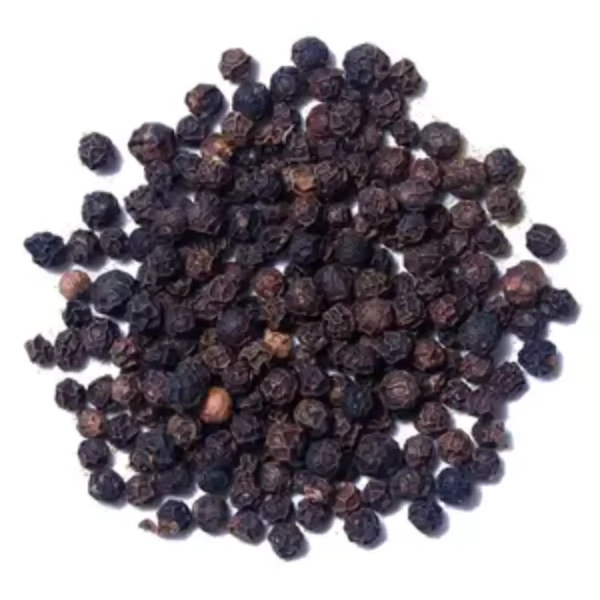 BEST SALE FACTORY FOR LOWEST PRICE AND HIGH QUALITY NEW CROP BLACK PEPPER