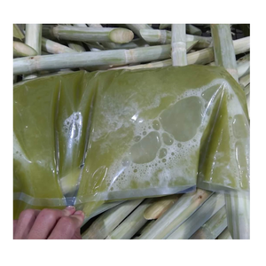 Meilleures ventes : Bâtonnets de canne à sucre surgelés de qualité supérieure, goût naturellement sucré, emballage sous vide, 100 % canne à sucre fraîche, Vietnam-99 Gold Data - Product Image 4