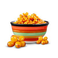 Hoogwaardige eetbare gedroogde zeebuckthorn-bessen, oranje, zongedroogd, HACCP-gecertificeerd, Kohenoor International, 3 jaar houdbaarheid