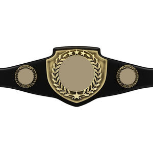 Ceinture de championnat de boxe et de lutte personnalisée, ceinture de championnat de boxe de qualité supérieure, best-seller, logo personnalisé par Elegant Sports - Product Image 2