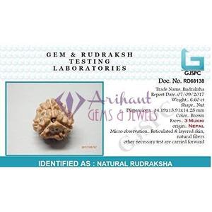 Arihant <b>Gems</b> & Jewels Brown 3 Mukhi Indian Rudraksha <b>Stone</b> Beads - Product Image 5