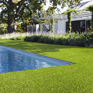 Telo in Tessuto Non Tessuto Adesivo Erbabella 2m X 10m con Fili da 45mm e 40 Picchetti per Giardinaggio - Product Image 3