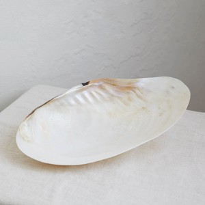 Lujoso juego de plato y cuchara de caviar, al por mayor precio de fábrica, cubiertos de nácar natural pulido - Product Image 6