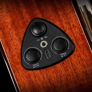 EARTHGRACE D2G <strong>40</strong> <strong>Inch</strong> 6-String Acoustic <strong>Guitar</strong> With 10W Speakers High Gloss - Product Image 5
