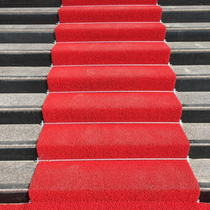 Tapis en PVC bouclé de qualité supérieure - Product Image 1