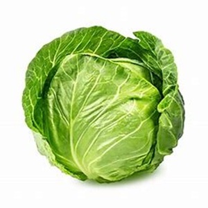 Chou frais résistant au gel pour usage culinaire et industriel à des prix raisonnables - Product Image 1