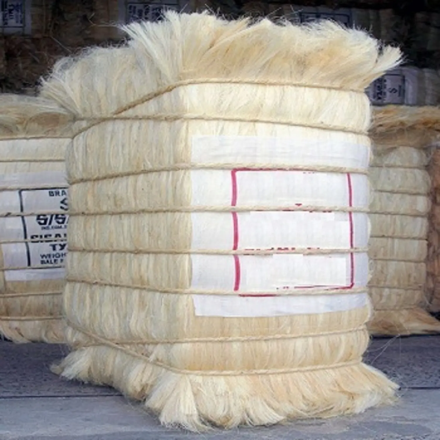 Bulk di fibra di Sisal prezzo economico, fibra di Sisal di alta qualità