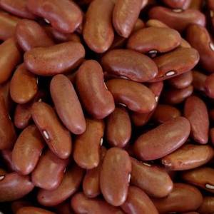 SUPER SELLS Organic Bulk White Kidney <b>Beans</b> Light Black Purple Speckled Red Kidney <b>Beans</b> For Sale - Product Image 4
