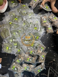 Hojas de guanábana 100% naturales de Vietnam, hojas de guanábana secas para té, venta al por mayor, hojas de guanábana secas de alta calidad en bolsa al vacío - Product Image 6