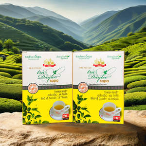 Soporte digestivo Ampelopsis Cantonensis Té de hierbas 20 Bolsas Infusión tradicional vietnamita 100% Grado superior orgánico crudo natural - Product Image 4