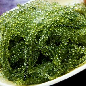 บรรจุภัณฑ์ฉลากส่วนตัวจากผู้จัดจําหน่ายองุ่นทะเล 99GD / องุ่นทะเลจํานวนมาก - Product Image 3