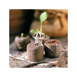 Pellets de Fibra de Coco en OFERTA, Material Impecable para Proyectos de Exhibición Comercial y Artículo Decorativo Resistente para Decoración de Interiores y Balcones - Product Image 1